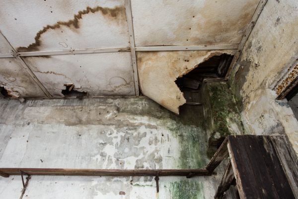 Water Damage Service in Peyton