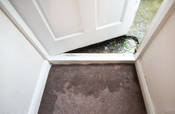 Wet Carpet Restoration in Peyton