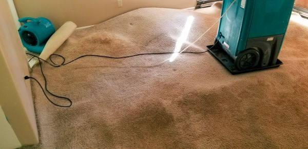 Carpet Water Extraction in Peyton