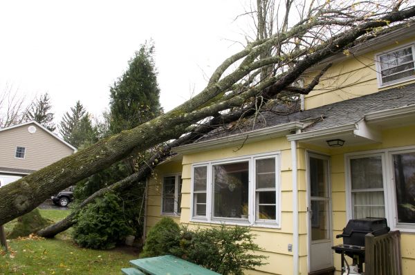 Hurricane Damage Repair in Peyton